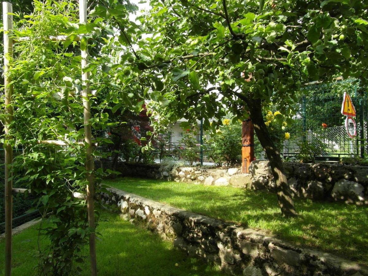 Apartma Pr Martin Begunje na Gorenjskem Exterior foto