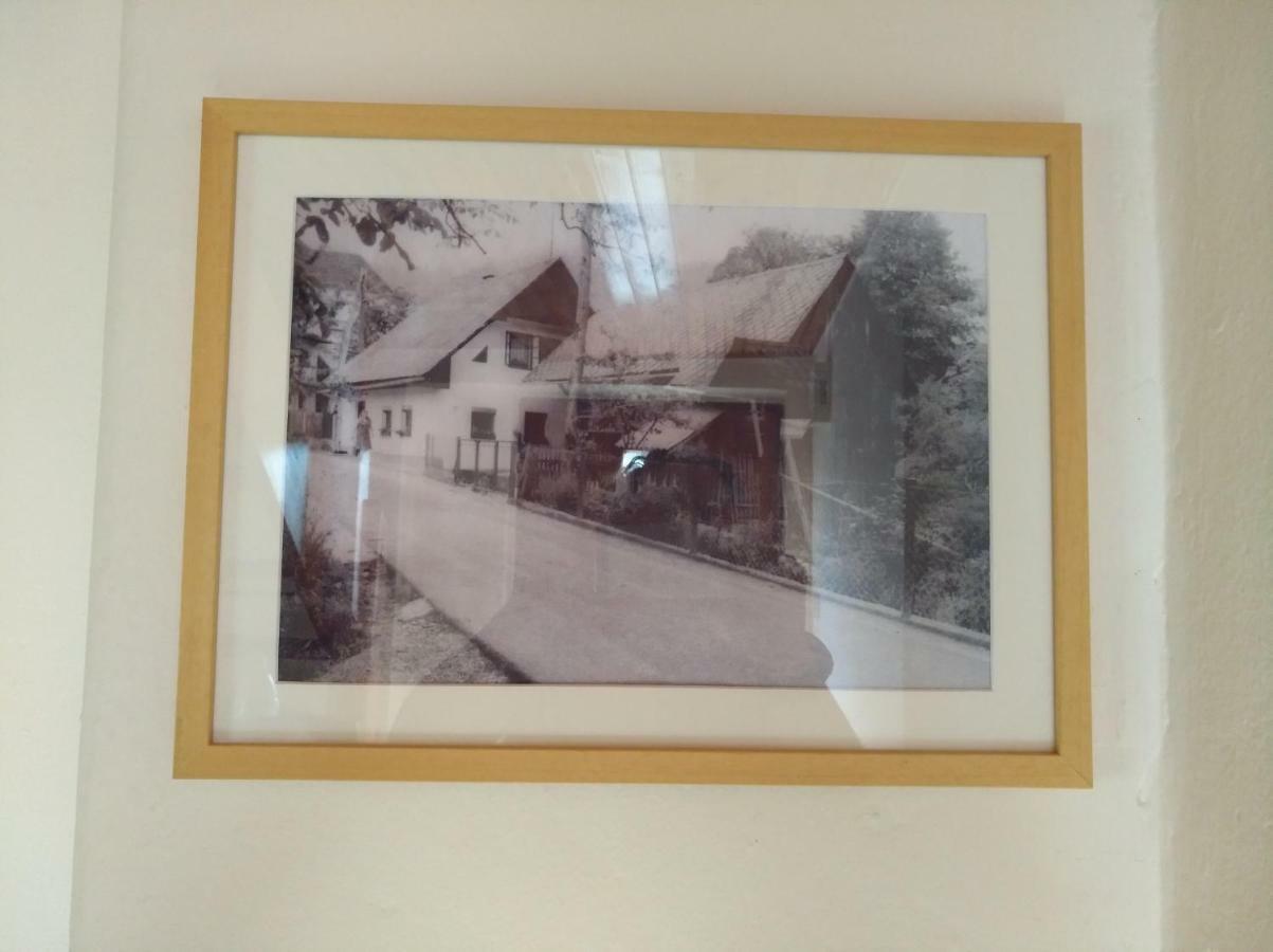 Apartma Pr Martin Begunje na Gorenjskem Exterior foto