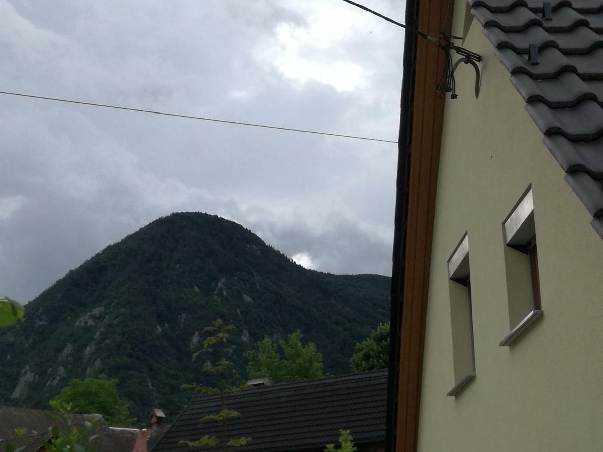 Apartma Pr Martin Begunje na Gorenjskem Exterior foto